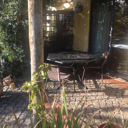Quinta Da Sao Joao - Villa Oliveira Olhao Bagian luar foto