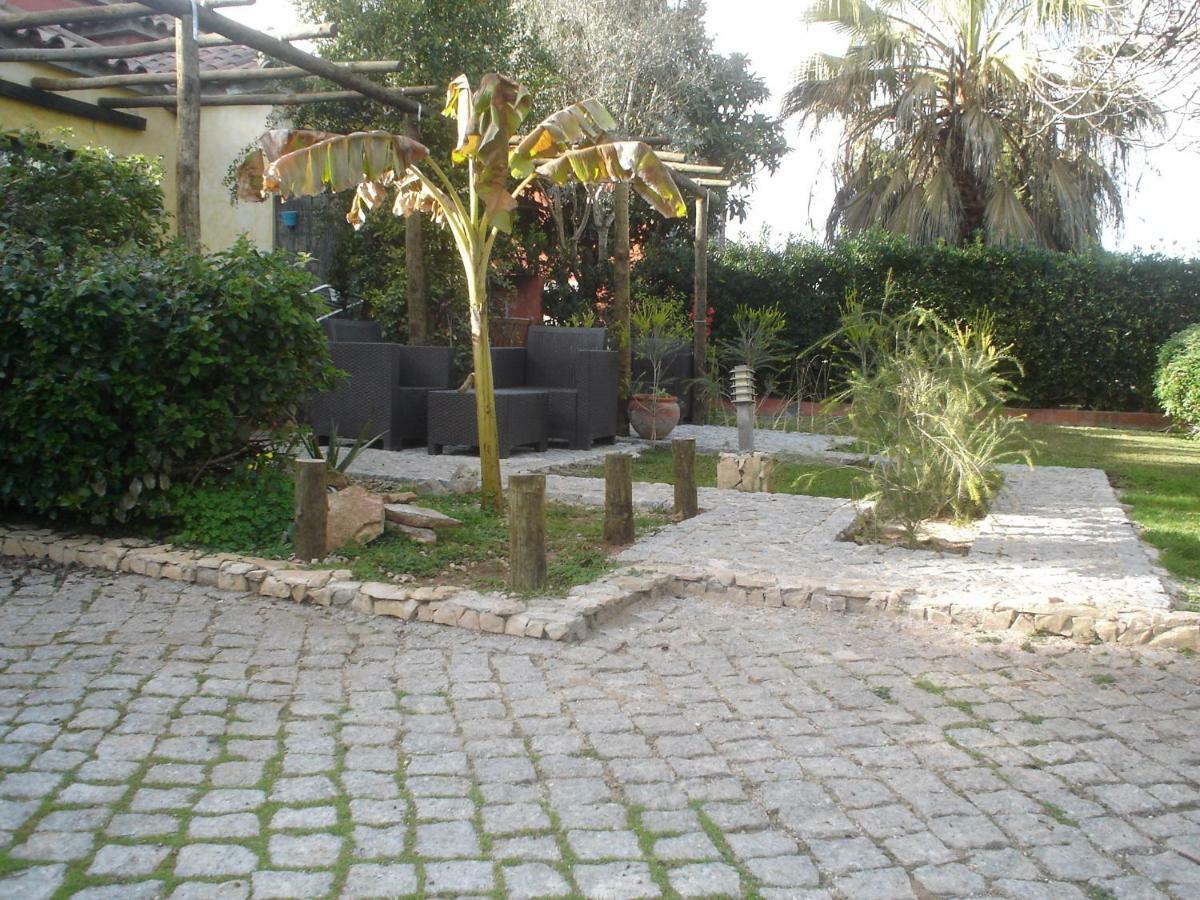 Quinta Da Sao Joao - Villa Oliveira Olhao Bagian luar foto