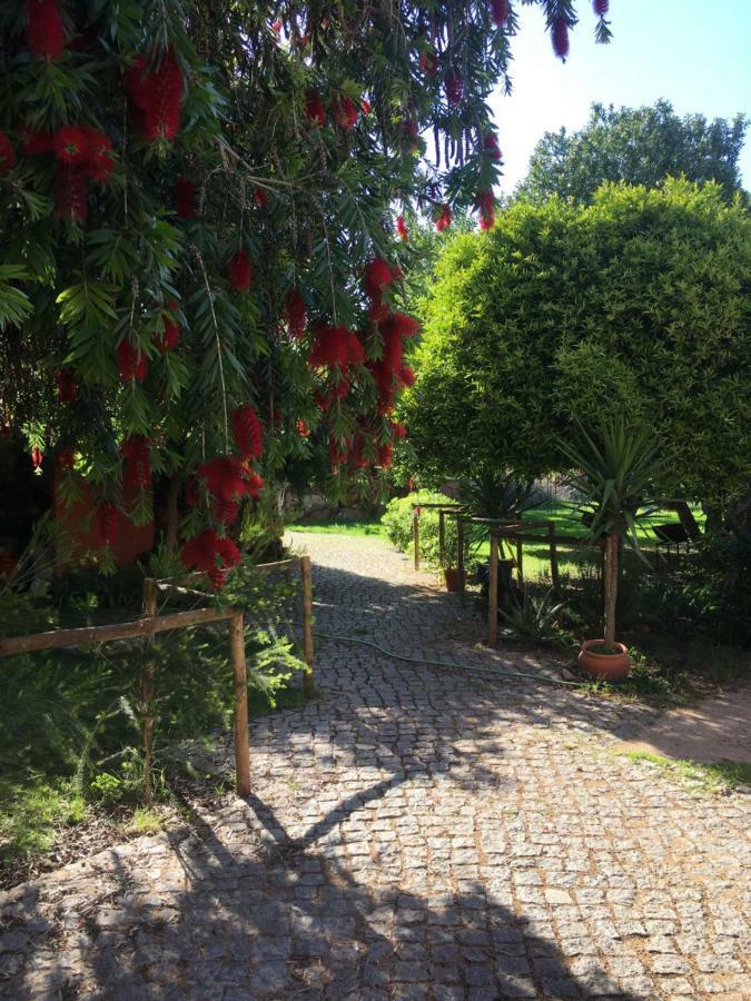 Quinta Da Sao Joao - Villa Oliveira Olhao Bagian luar foto